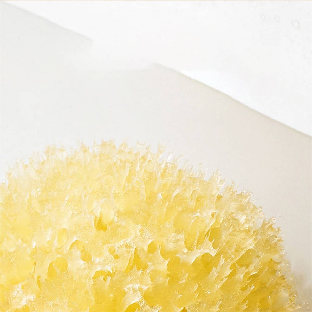 NATURAL SPONGE FOR WASHING FACE AND BATHING_CWMM3416