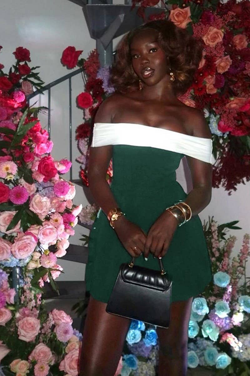 CWDTD0396_TEMPERAMENT SLIM OFFSHOULDER CONTRAST COLOR DRESS