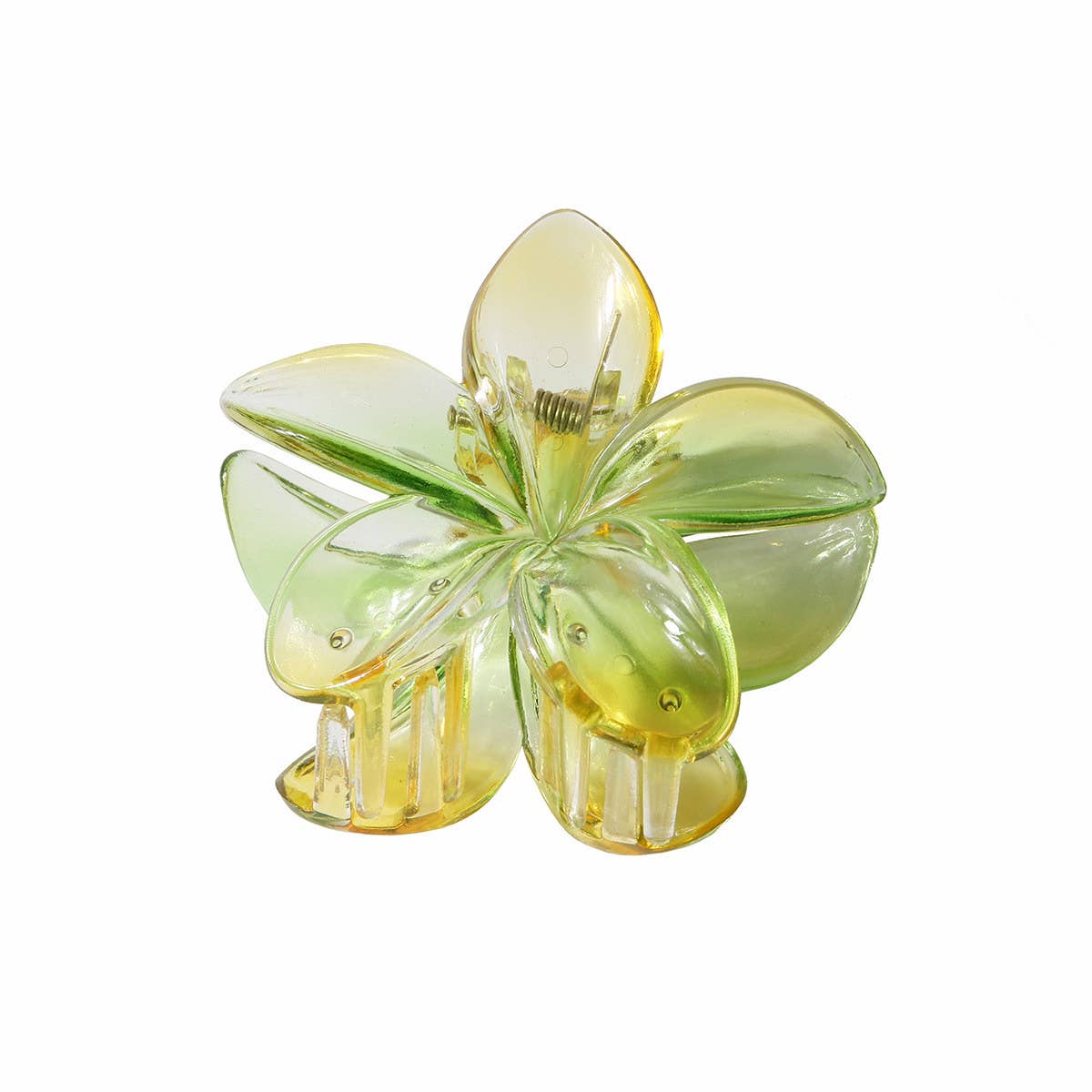 New Gradient Plumeria Claw Clip for Women_CWAHA1057