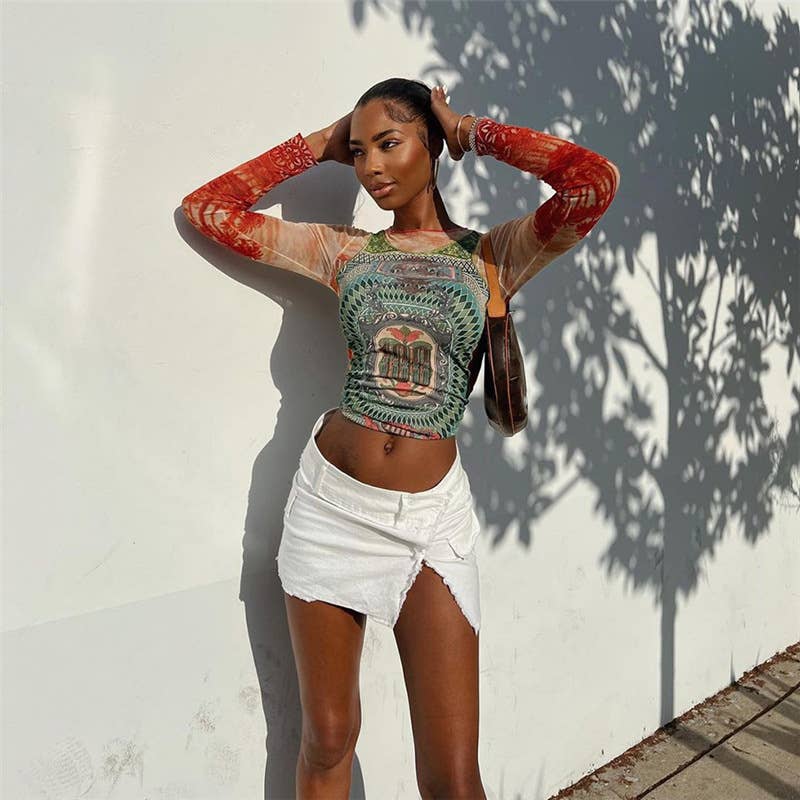 Fashion Print Colorblock Mesh Long Sleeve Top