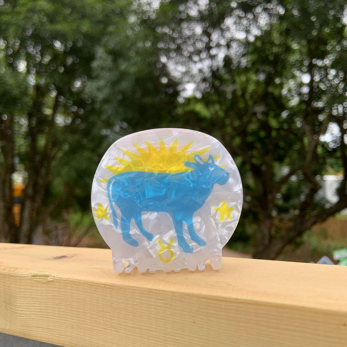 Star Sign Claw Clip ??Acrylic Cute Hair Accessor_CWAHA2141