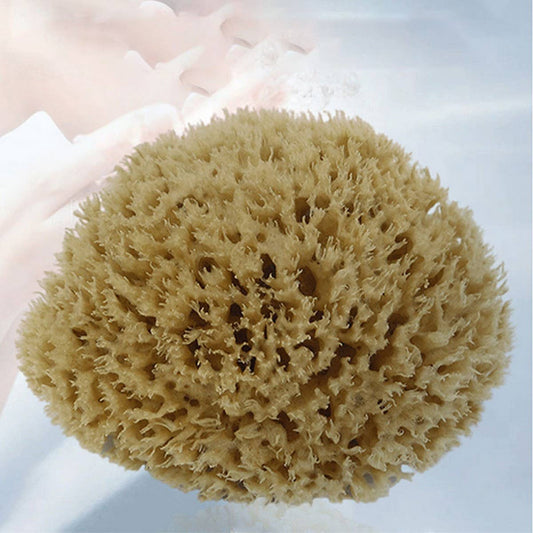 NATURAL COFFEE COLOR SPONGE HONEYCOMB SPONGE