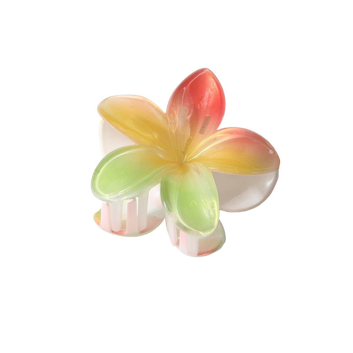 CWAHA07429_PEARL GRADIENT PLUMERIA HAIR CLAW CLIP LARGE