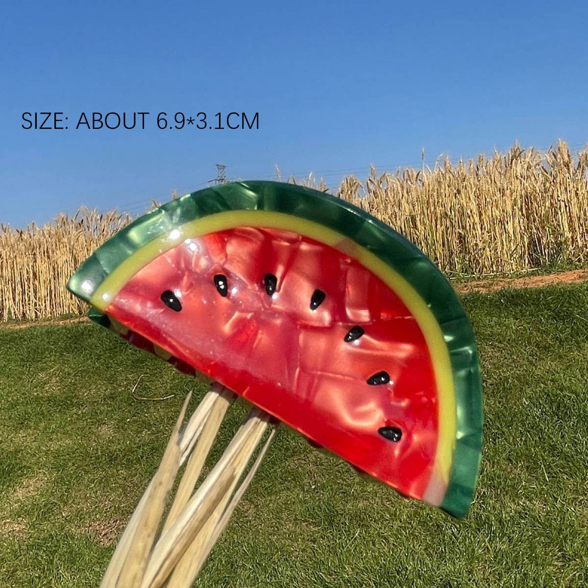 2024 NEW SIMPLE FRUIT GRABBER HAIRPIN_CWAHA0956