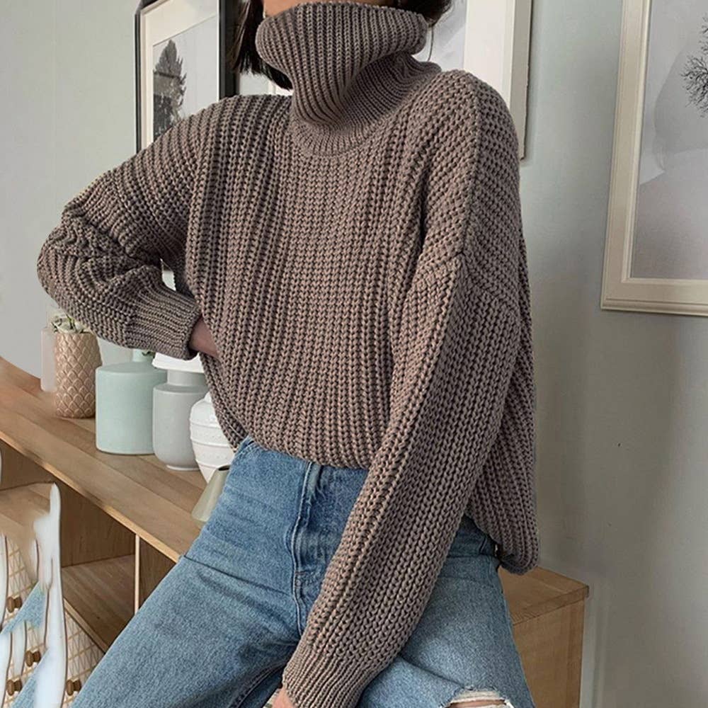 SOLID COLOR TURTLENECK BASIC COARSE KNIT SWEATER