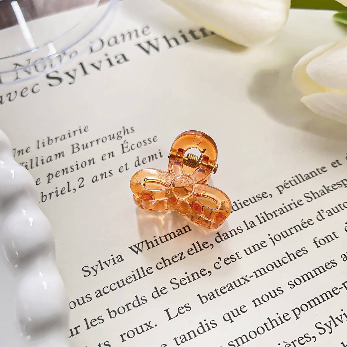 RAINBOW MINI TRANSPARENT GRIPPER CLAW CLIP_CWAHA0721