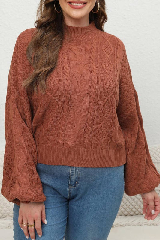 CWOSWL1572_PLUS Size Crew Neck Pullover Long Sleeve Sweater