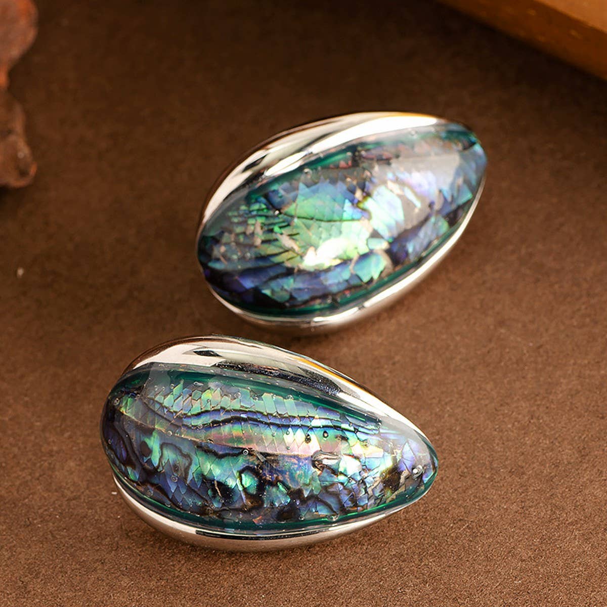 COLORFUL NATURAL ABALONE SILVER NEEDLE EARRINGS