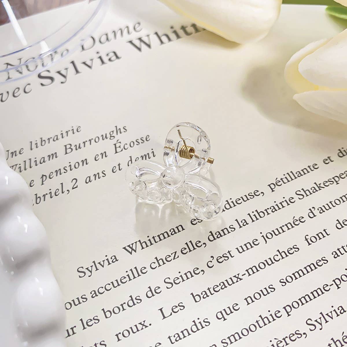 RAINBOW MINI TRANSPARENT GRIPPER CLAW CLIP_CWAHA0721