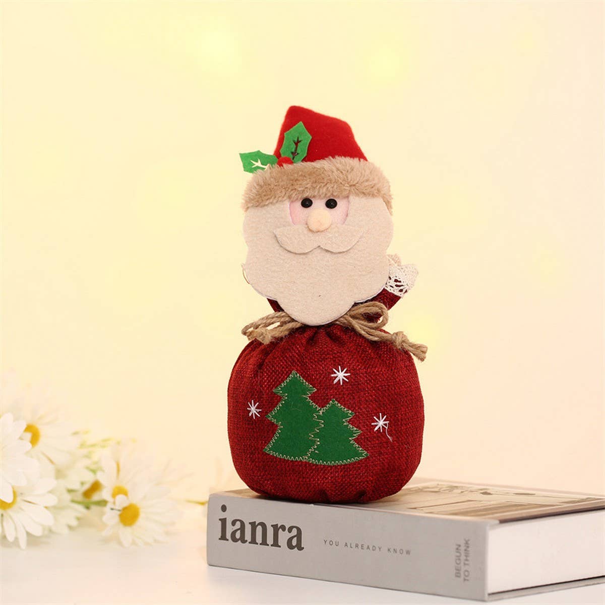 CHRISTMAS CARTOON APPLE BAG GIFT BAG