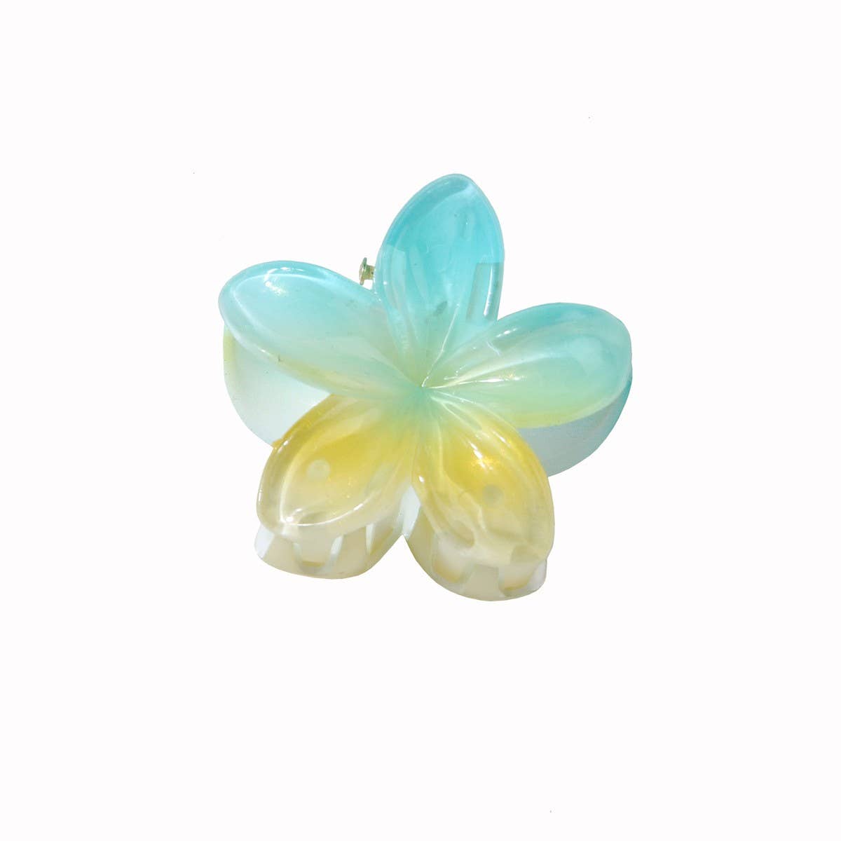 Candy Color Plumeria Hair Claw, Sweet Floral Clip_CWMM4985