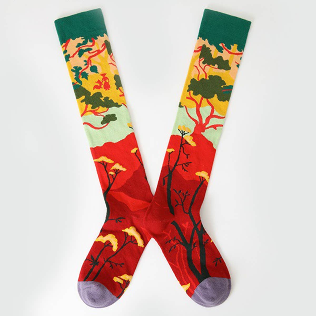 COLORFULS KNEE SOCKS LONG TUBE SOCKS CWMS0176