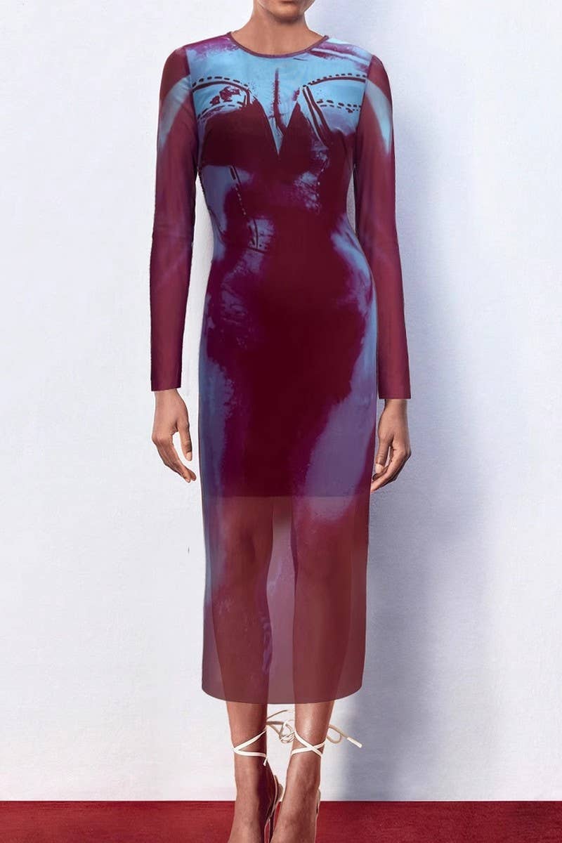 CWDMD5039_FASHION SEXY PRINTED SEMI-PERSPECTIVE MESH DRESS