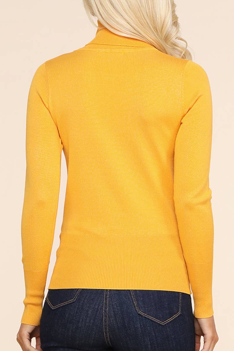 AWOSWL285_Stretch Turtle Neck Long Sleeve Pullover Sweater