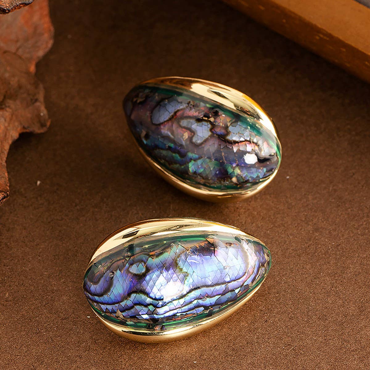COLORFUL NATURAL ABALONE SILVER NEEDLE EARRINGS