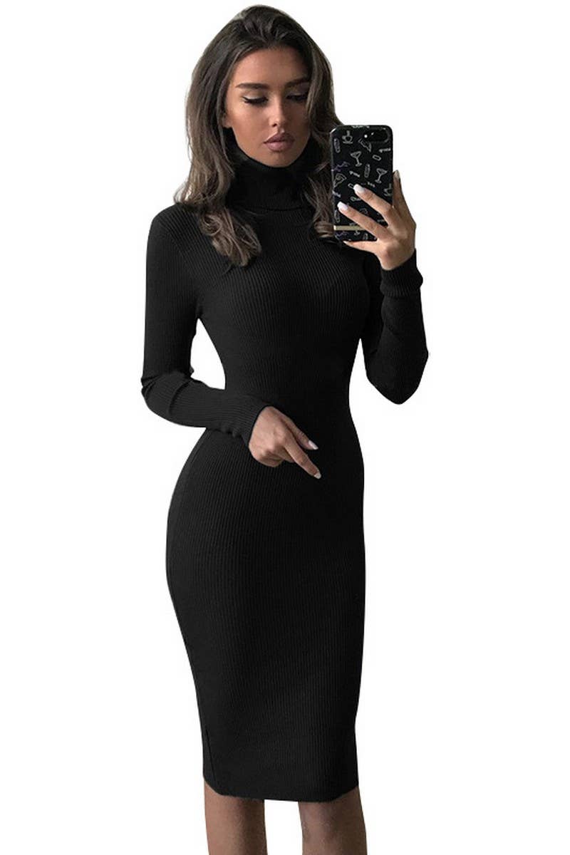 CWDMD4945_SOLID COLOR SLIM FIT LONG SLEEVE TURTLENECK DRESS