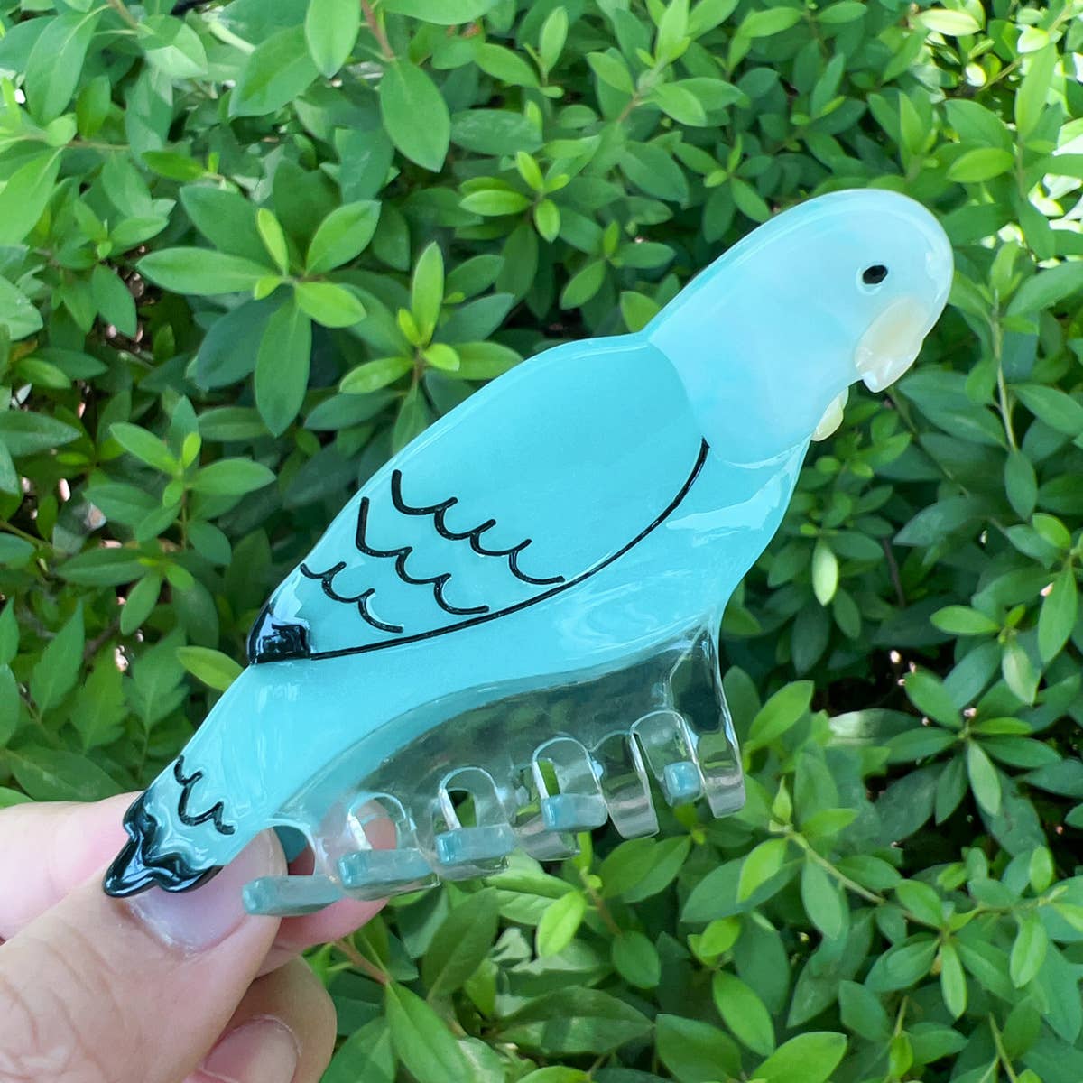 Parake-like acetate board hair clip headwear