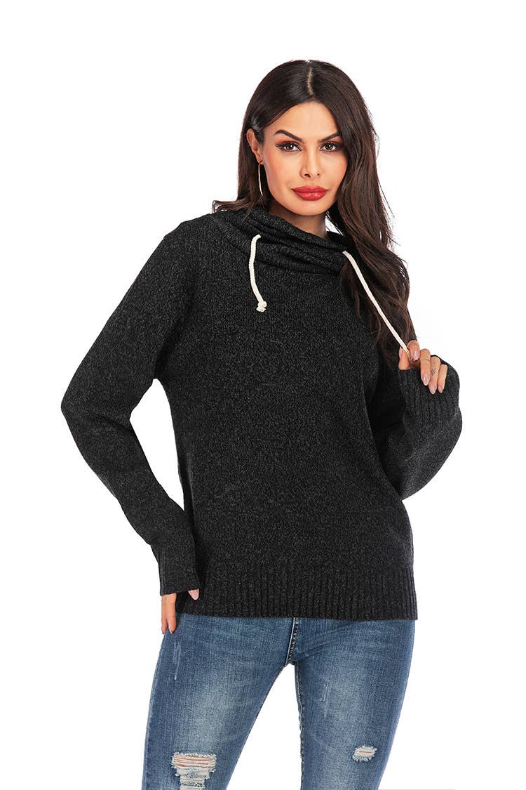 SWEATER PILE PILE COLLAR LONG SLEEVE HOODIE