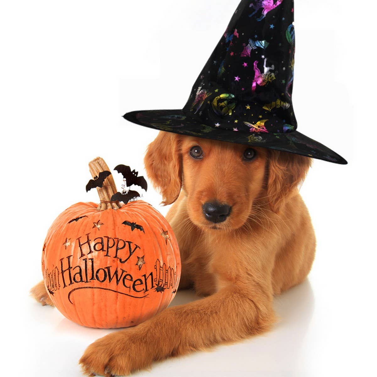 CWAH4031_HALLOWEEN HARRY POTTER WITCH HAT