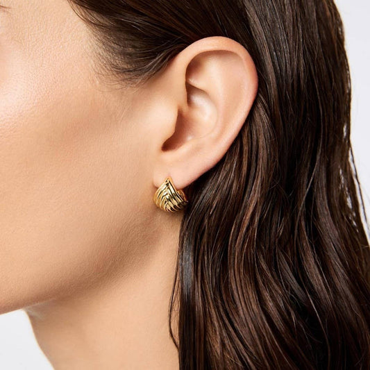 Gold Striped Fan Shaped Stainless Steel Studs