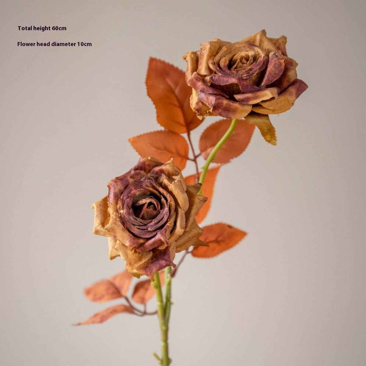 Dried Tone Burnt Edge Rose Bouquet for Decor