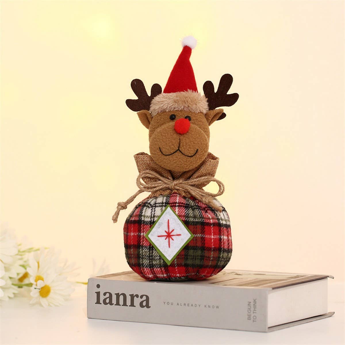 CHRISTMAS CARTOON APPLE BAG GIFT BAG