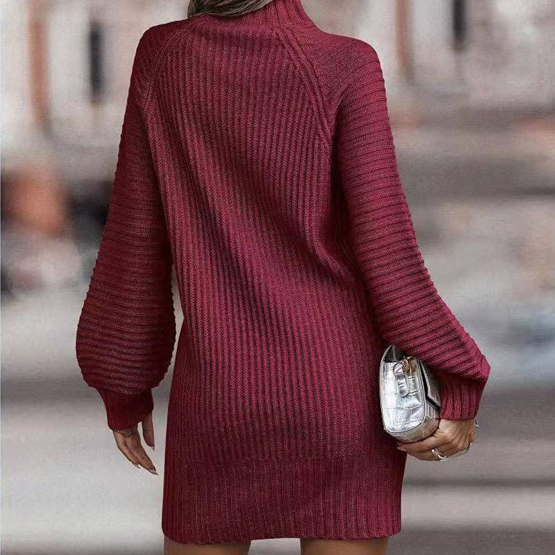 TURTLENECK SWEATER WOMEN LONG-SLEEVED KNIT DRESS