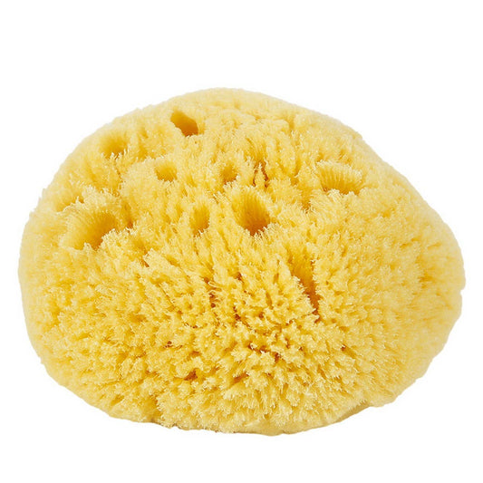 HARD HEAD EXFOLIATING NATURAL SPONGE VELVET SPONGE
