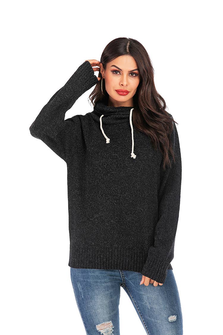 SWEATER PILE PILE COLLAR LONG SLEEVE HOODIE
