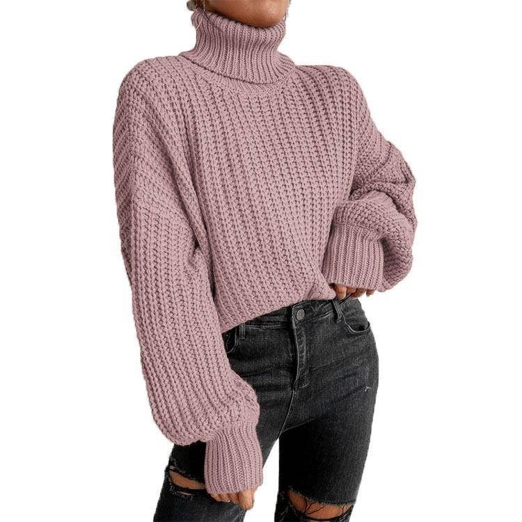Long-Sleeved Pullover Turtleneck Sweater_Cwoswl3836