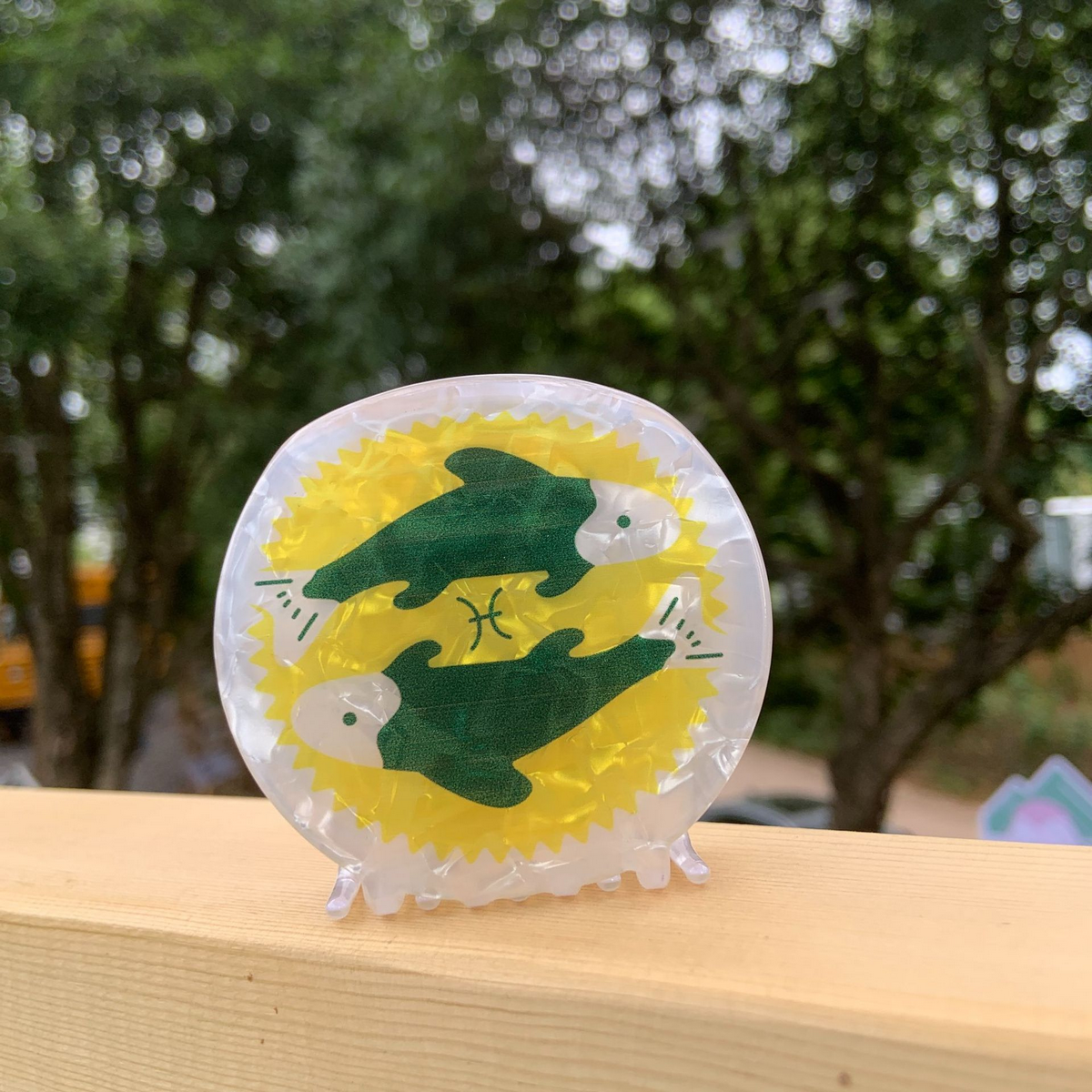 Star Sign Claw Clip ??Acrylic Cute Hair Accessor_CWAHA2141