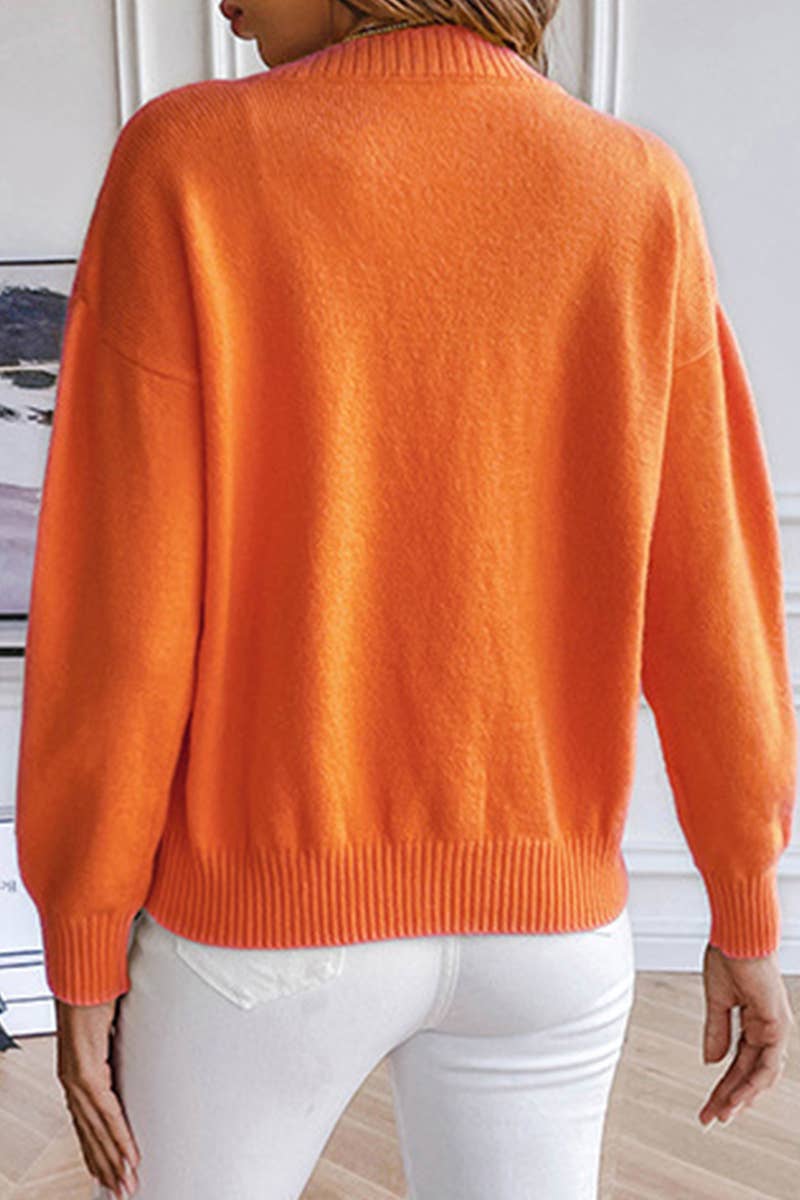 LITTLE CHRYSANTHEMUM EMBROIDERY V-NECK SWEATER