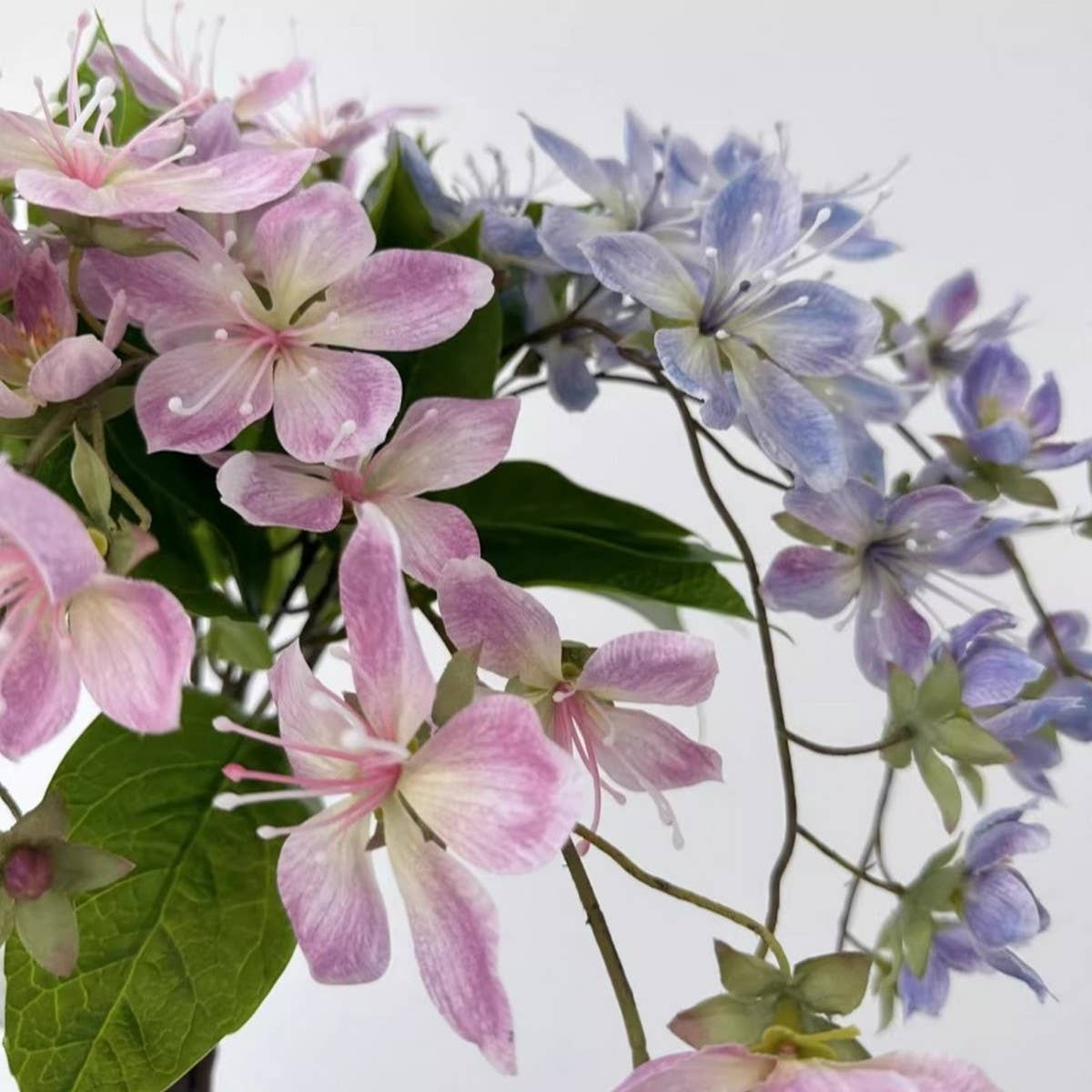 Single Stem Jasmine and Begonia Faux Flower Decor_CWMM6522