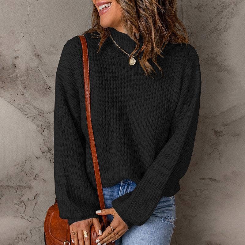 TURTLENECK SOLID COLOR PULLOVER SWEATER