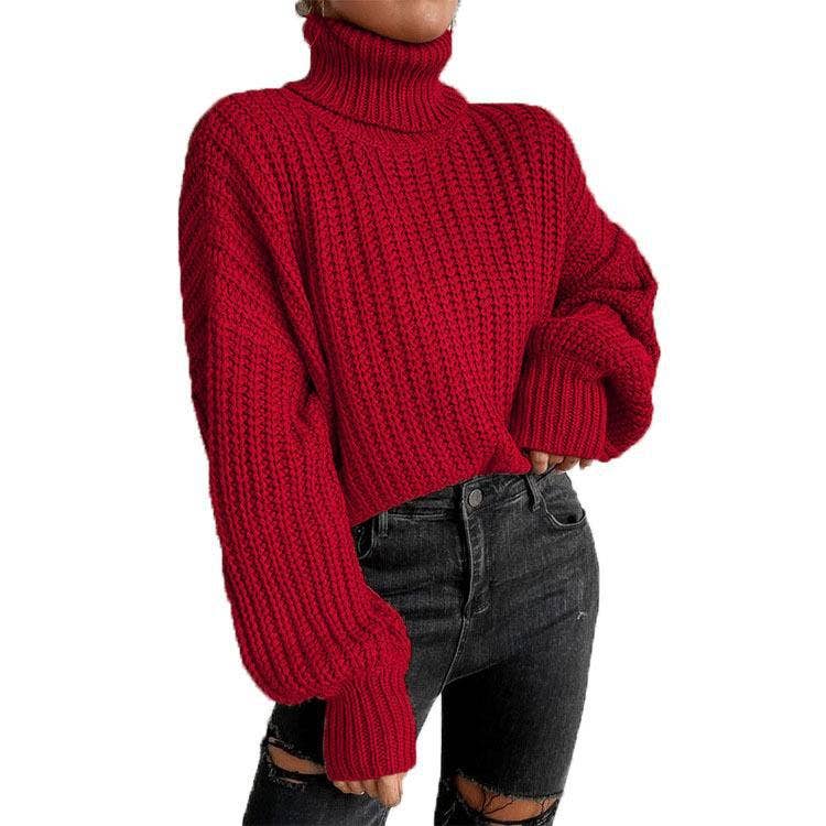 Long-Sleeved Pullover Turtleneck Sweater_Cwoswl3836