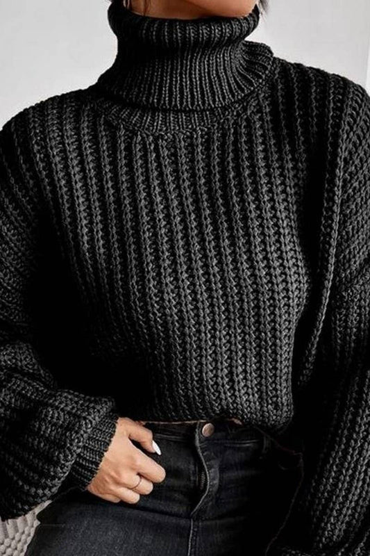 Long-Sleeved Pullover Turtleneck Sweater_Cwoswl3836