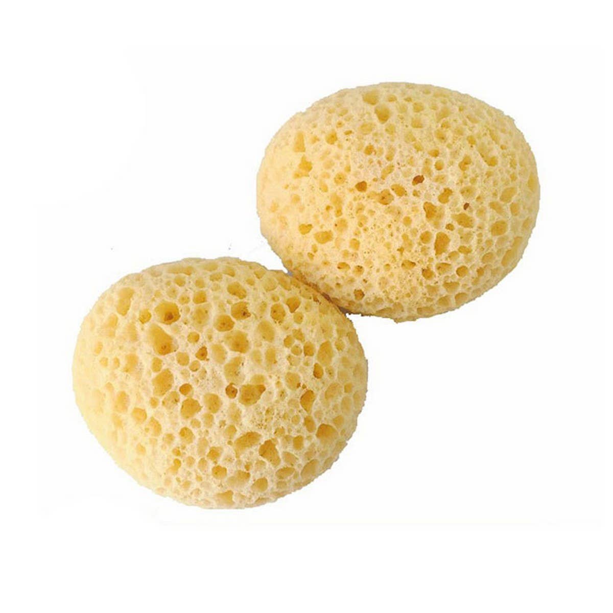 LARGE POROUS SEAWEED BATH SPONGE