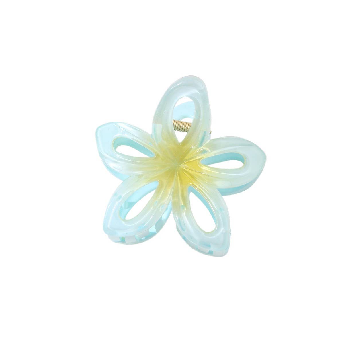 CWAHA1383_GRADIENT FLOWER HAIR CLAW CLIP