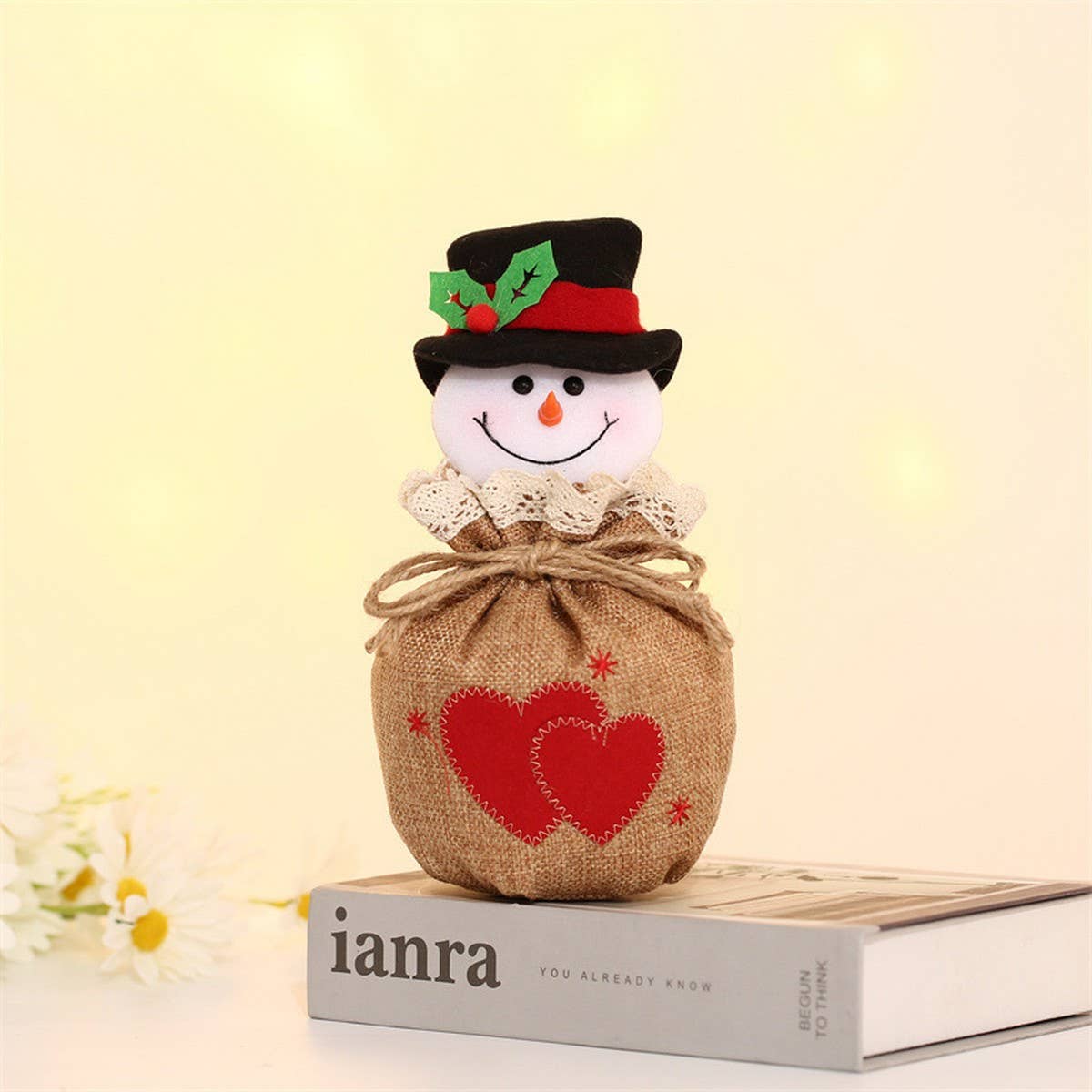 CHRISTMAS CARTOON APPLE BAG GIFT BAG