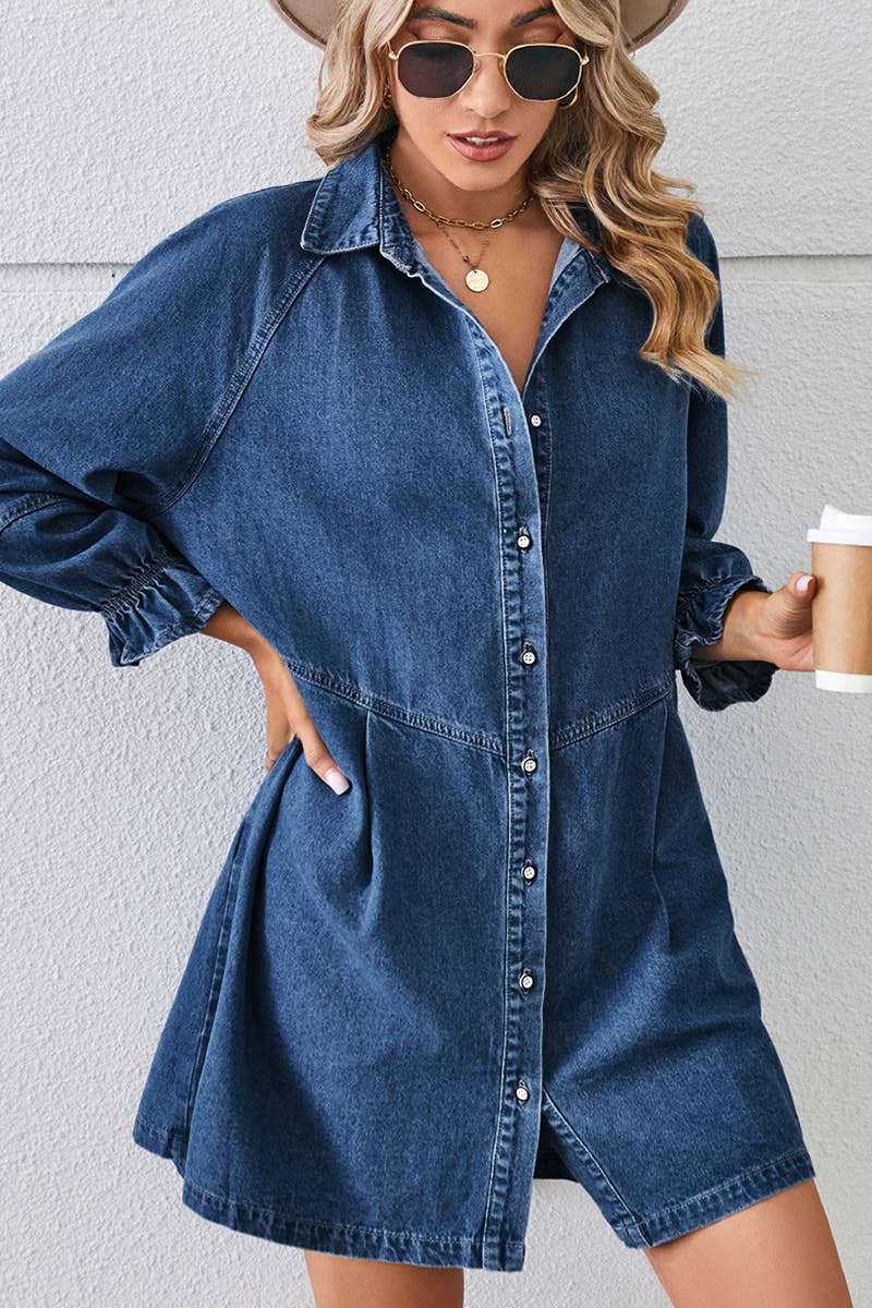 Loose wash long sleeve denim single breasted short dress
