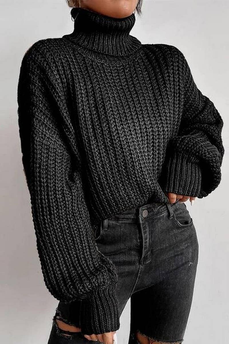 Long-Sleeved Pullover Turtleneck Sweater_Cwoswl3836