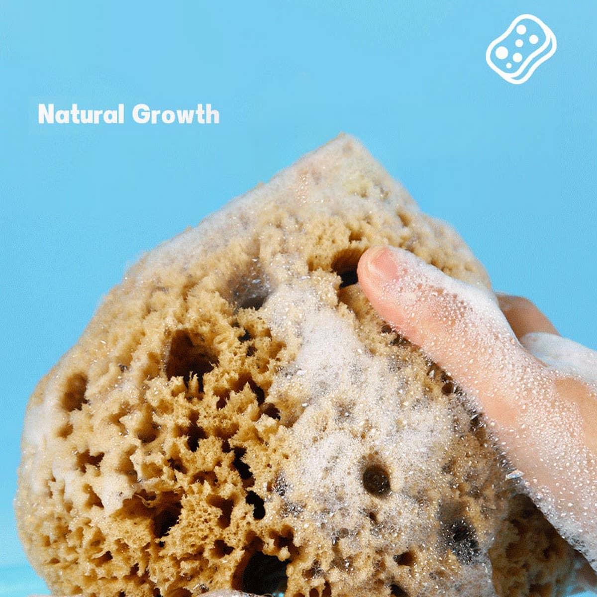 HARD HEAD EXFOLIATING NATURAL SPONGE VELVET SPONGE