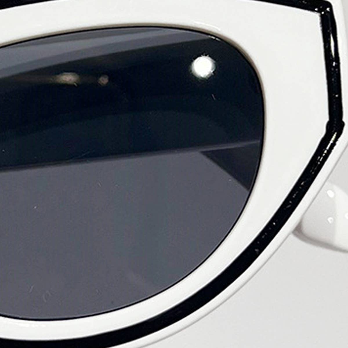 PAINTED CAT-EYE SUNGLASSES_CWASG0420