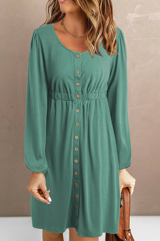 CWDSD6595_CREW-NECK SINGLE-BREASTED LONG-SLEEVED DRESS