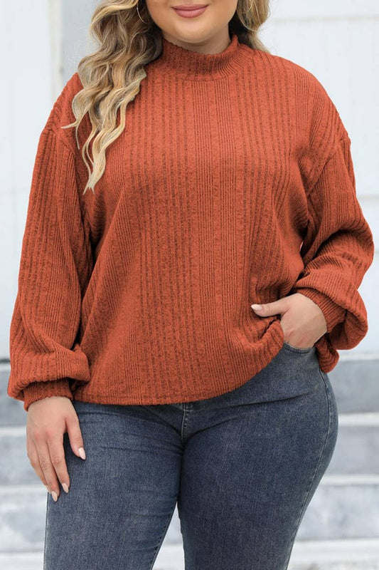 Cwttl1310_Plus Size Turtle Neck Long Sleeve Pullover Top