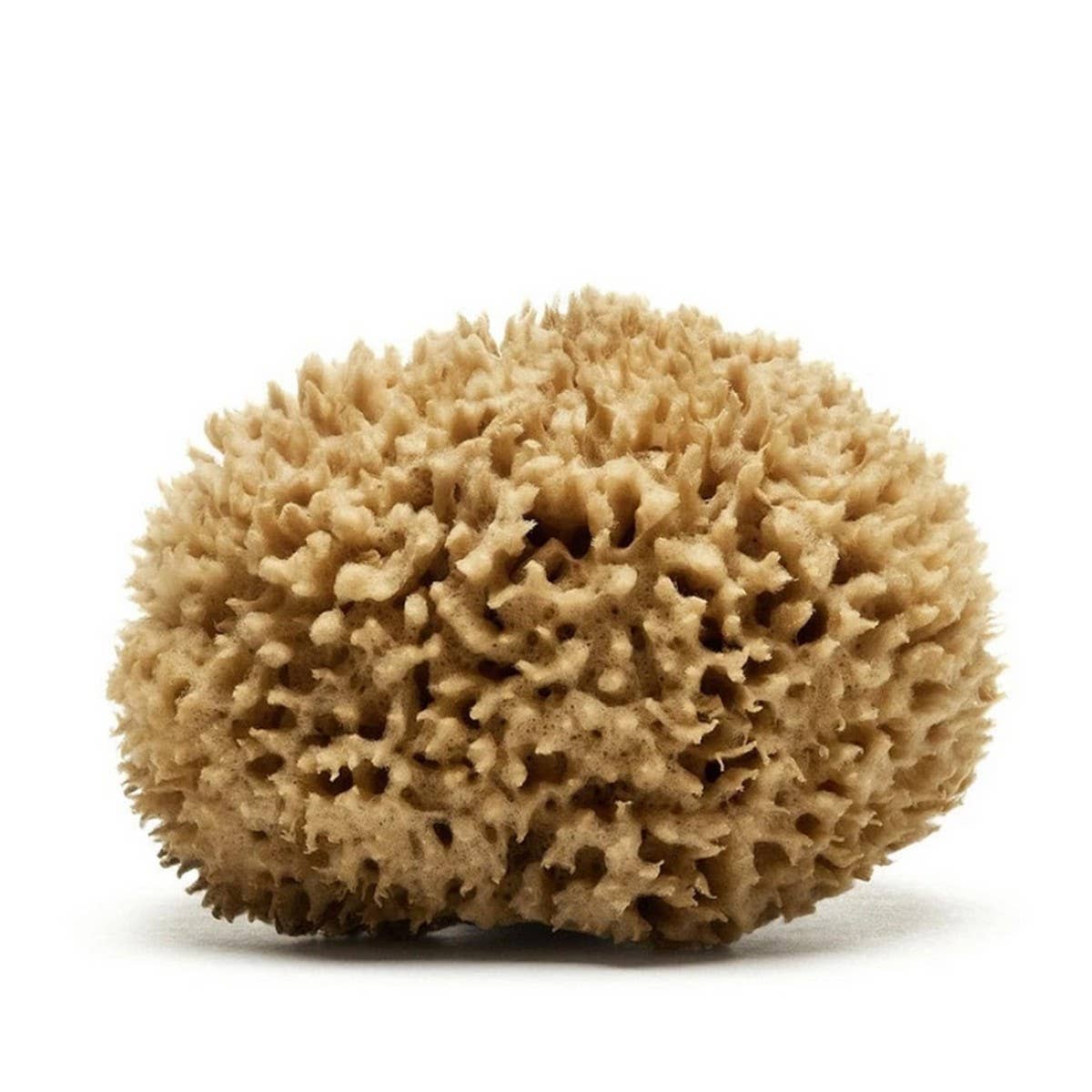 NATURAL WOOL SPONGE BATH SUPER SOFT BATH SPONGE