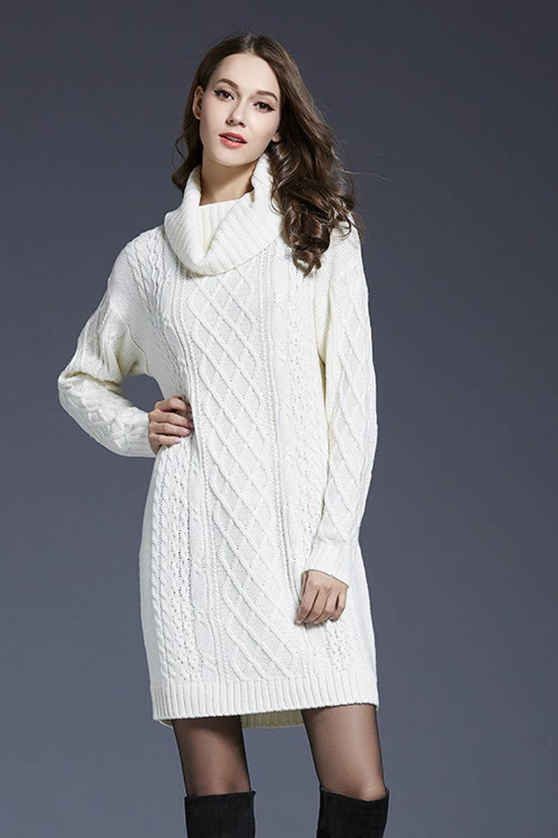 CWDSD5133_LONG TURTLENECK KNITTED DRESS