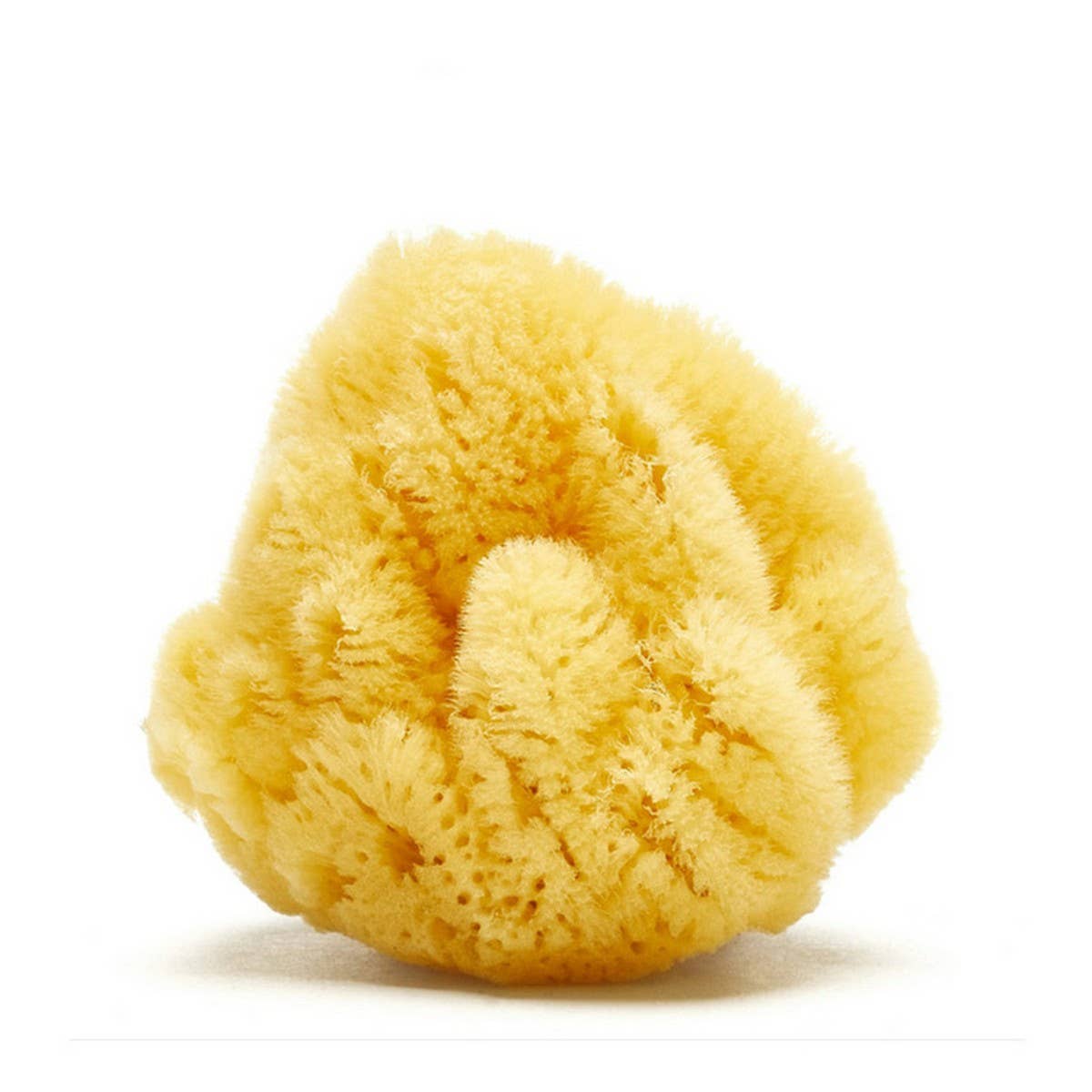 HARD HEAD EXFOLIATING NATURAL SPONGE VELVET SPONGE