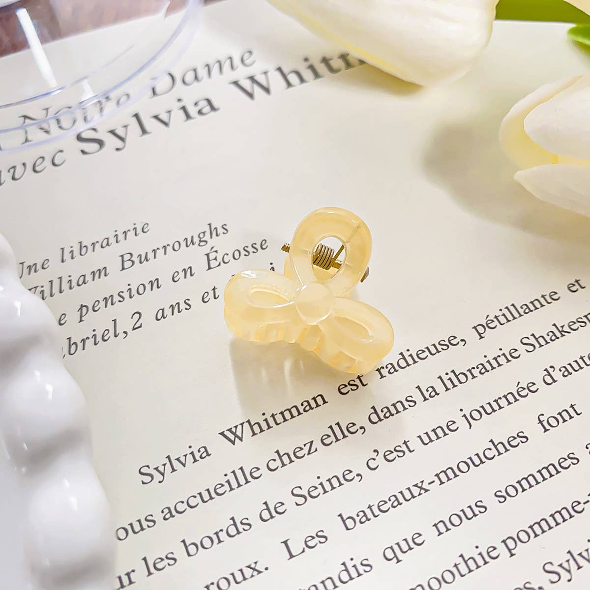 RAINBOW MINI TRANSPARENT GRIPPER CLAW CLIP_CWAHA0721