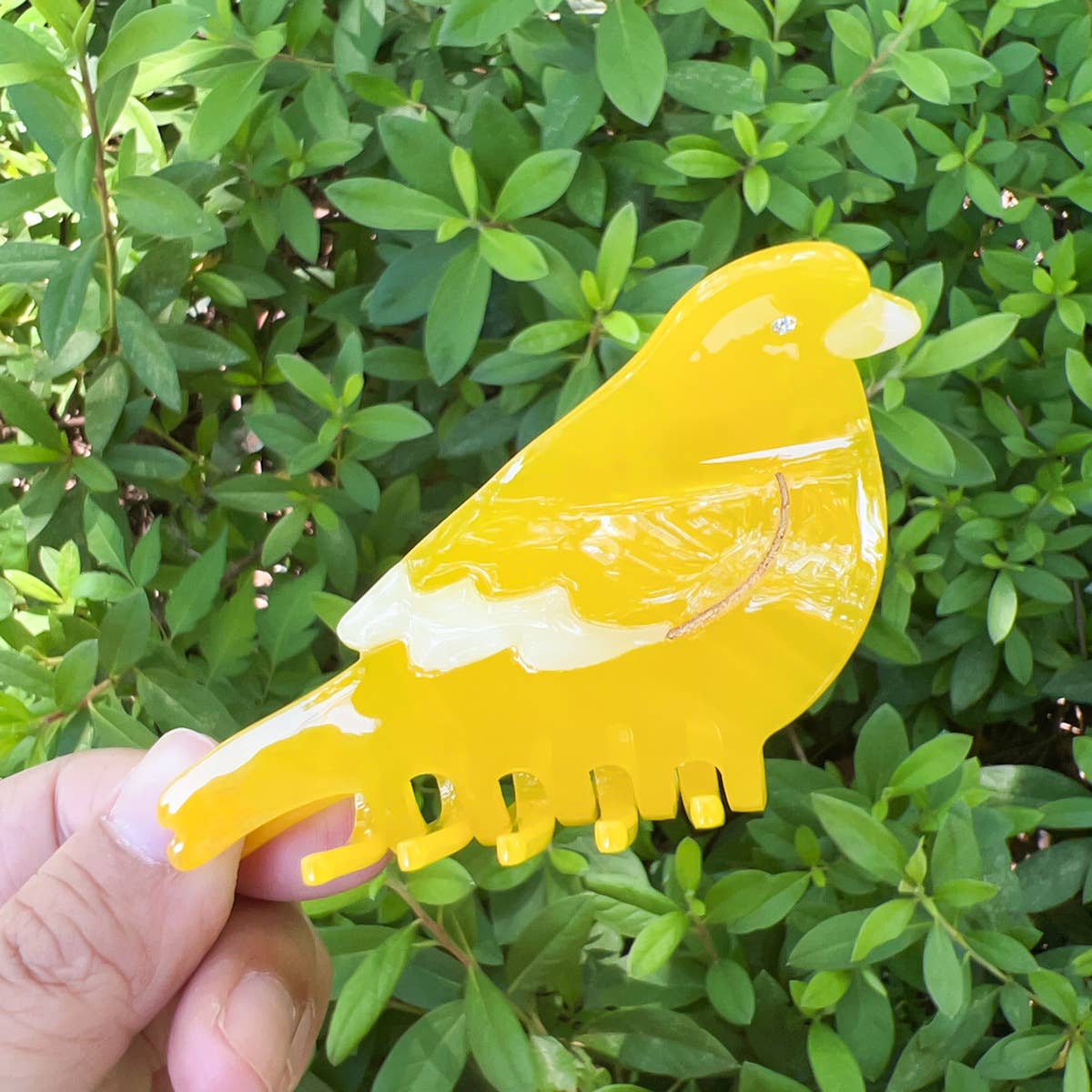 Parake-like acetate board hair clip headwear